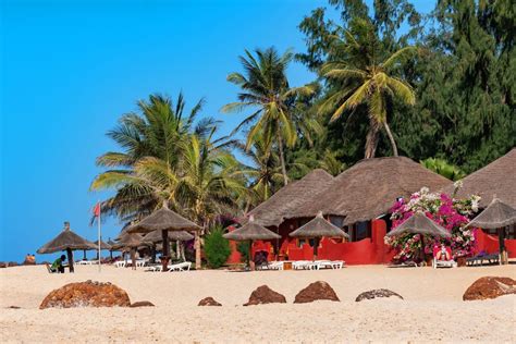 horizon baobab somone|ROYAL HORIZON BAOBAB .
